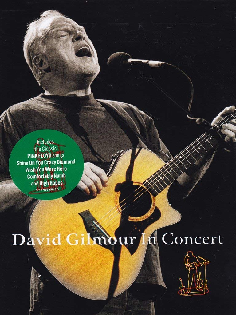 David Gilmor In Concert